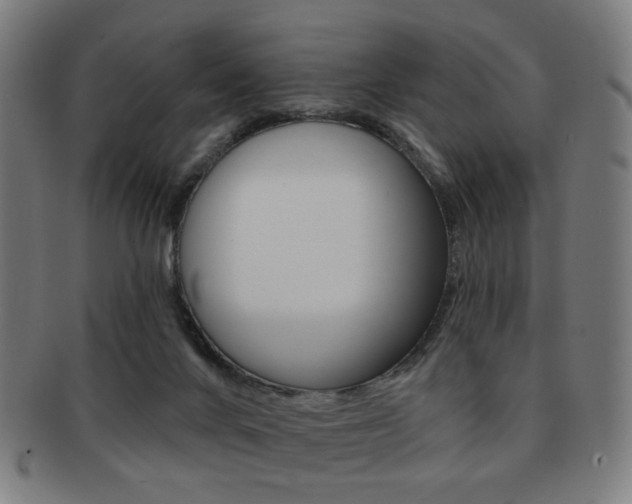 X0000091890024200709051053
