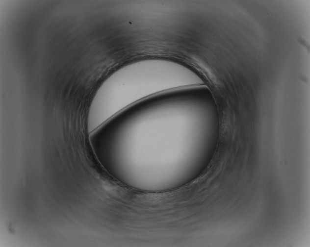 X0000091890025200709051053