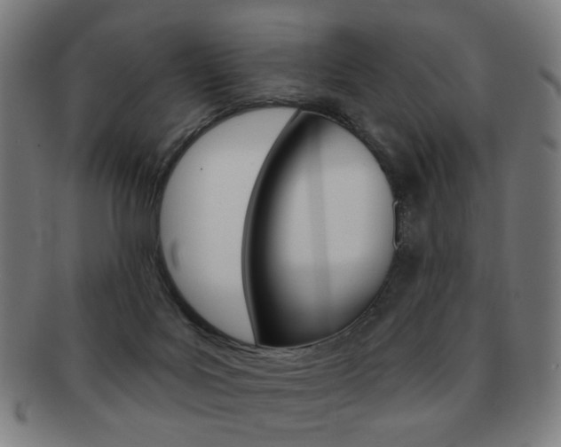 X0000091890027200709051053