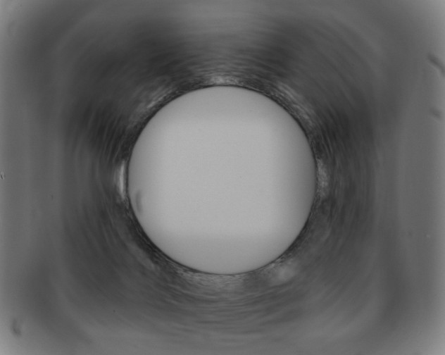X0000091890028200709051053