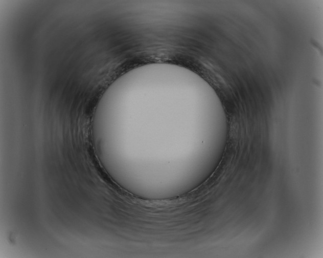 X0000091890030200709051053