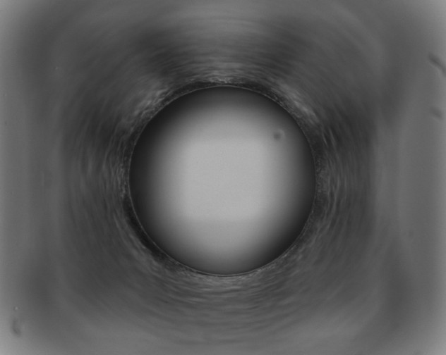 X0000091890031200709051053