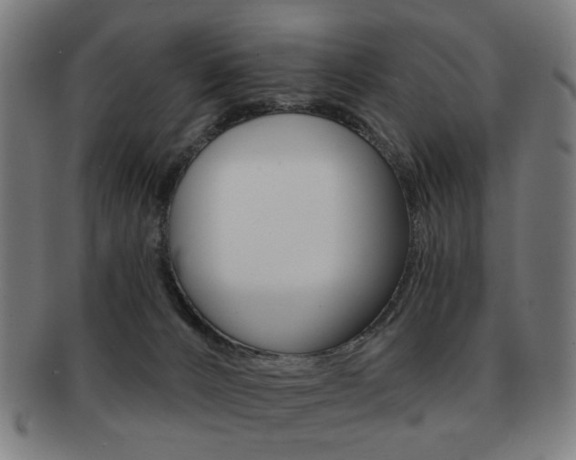 X0000091890032200709051053