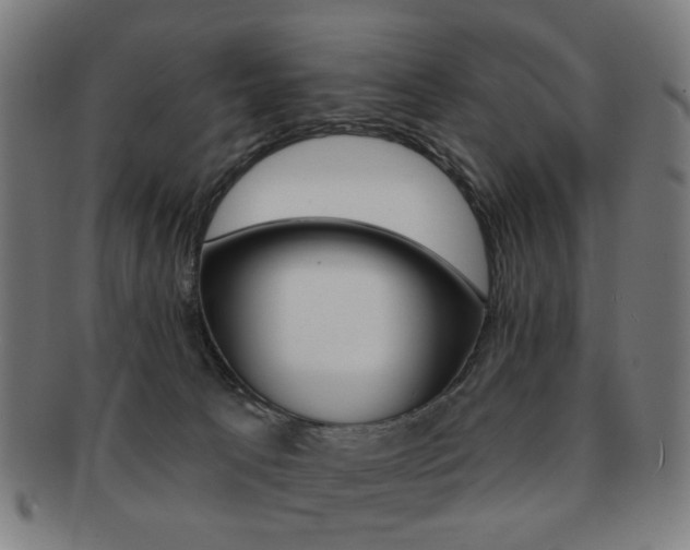X0000091890033200709051053