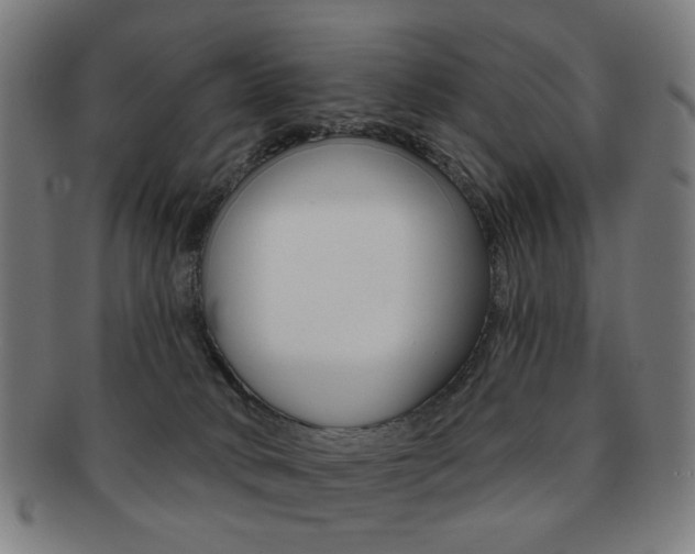 X0000091890034200709051053