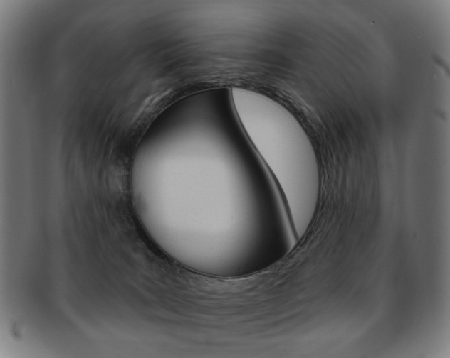 X0000091890035200709051053