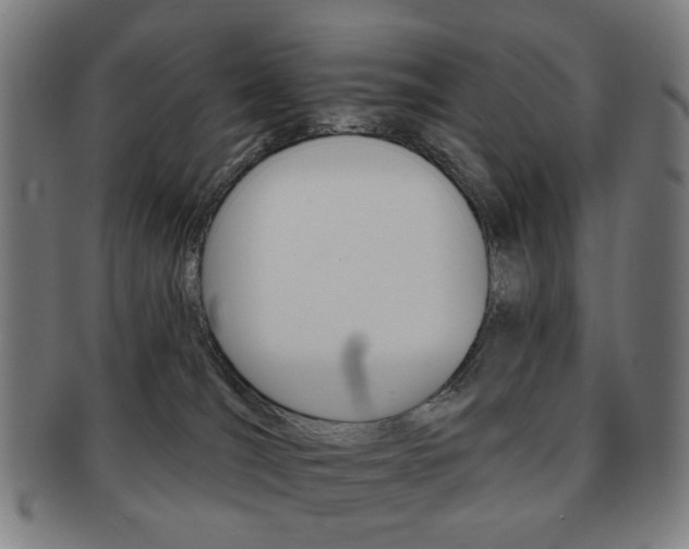 X0000091890036200709051053