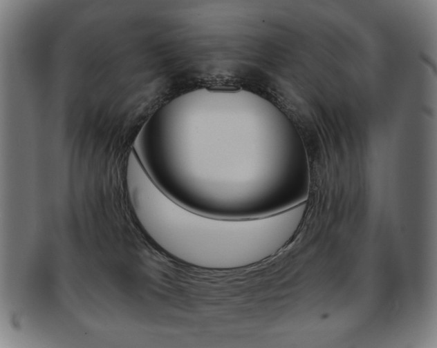 X0000091890037200709051053
