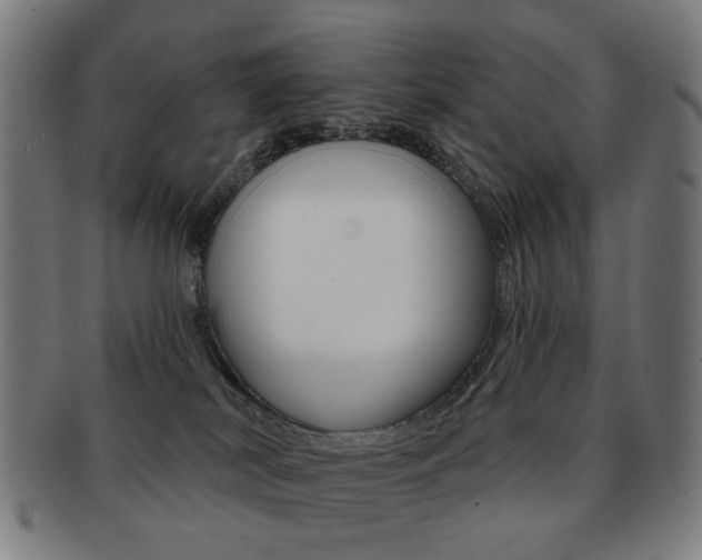 X0000091890038200709051053