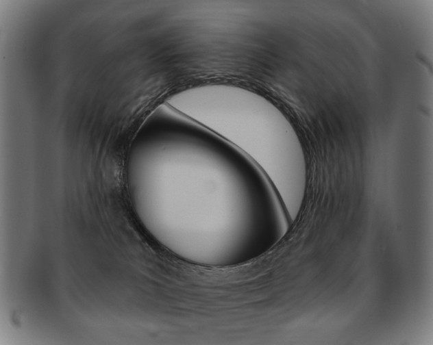 X0000091890039200709051053