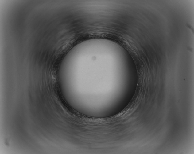 X0000091890040200709051053