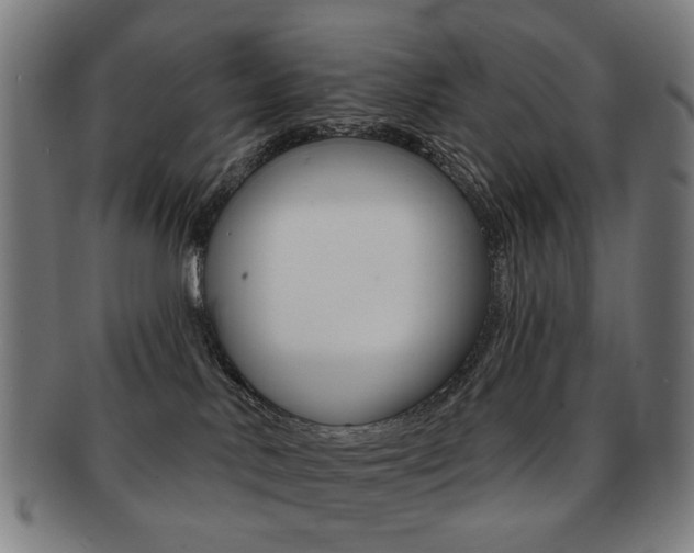 X0000091890042200709051053