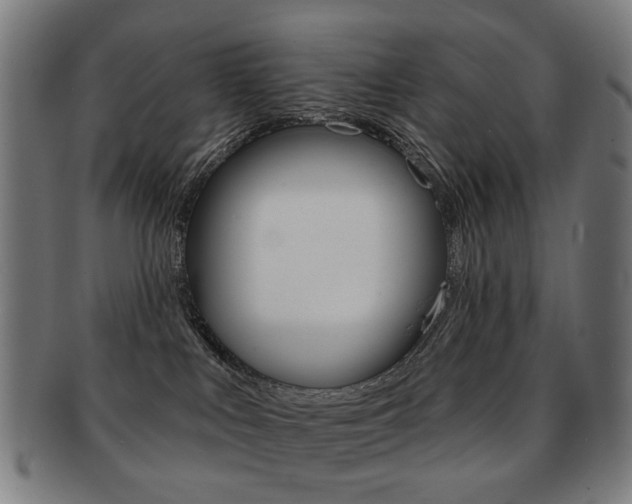 X0000091890043200709051053