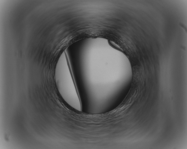 X0000091890044200709051053