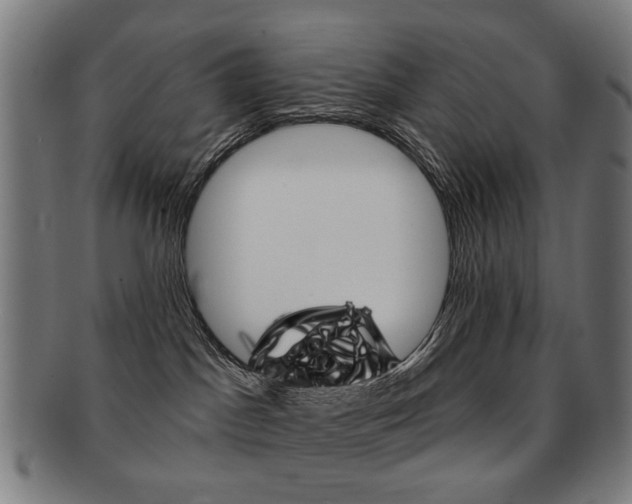 X0000091890045200709051053