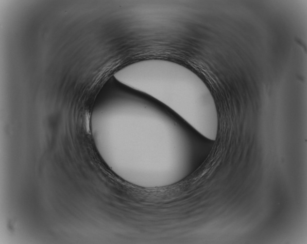 X0000091890046200709051053