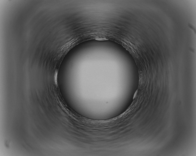 X0000091890047200709051053