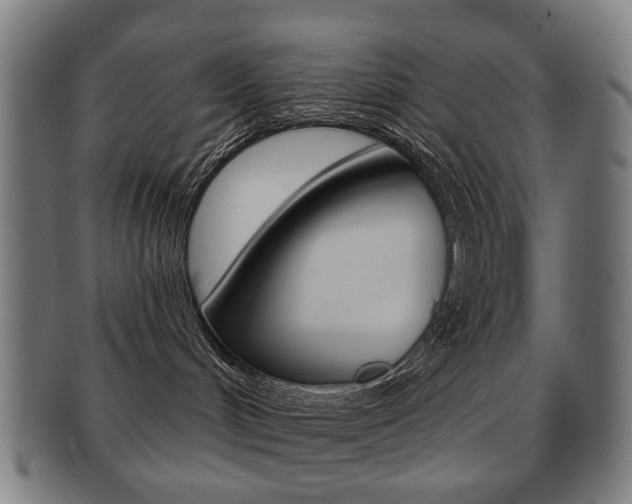 X0000091890048200709051053