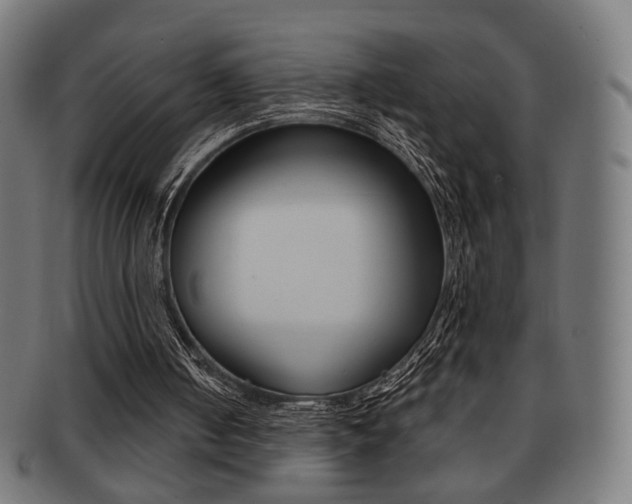 X0000091890050200709051052
