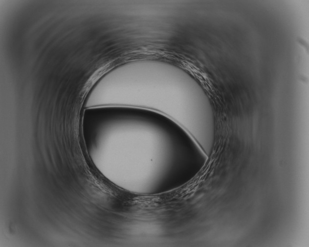 X0000091890051200709051052