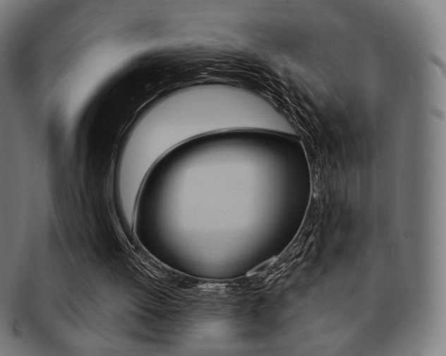 X0000091890052200709051052