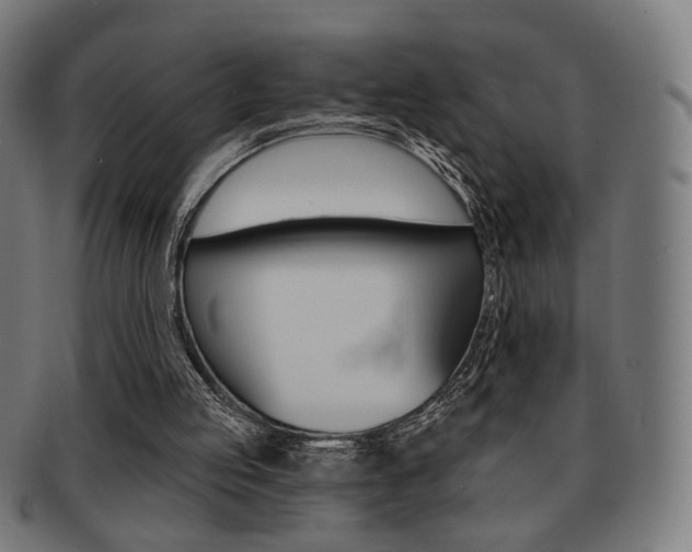 X0000091890053200709051052