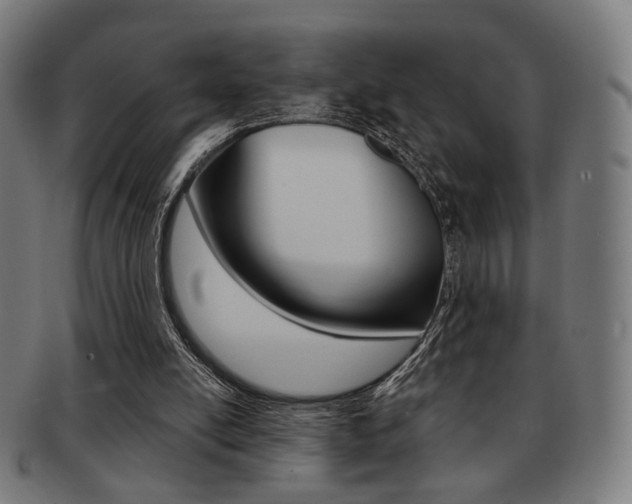 X0000091890054200709051052