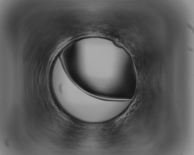 X0000091890055200709051052