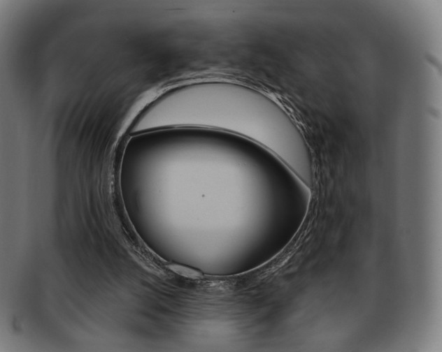 X0000091890056200709051052