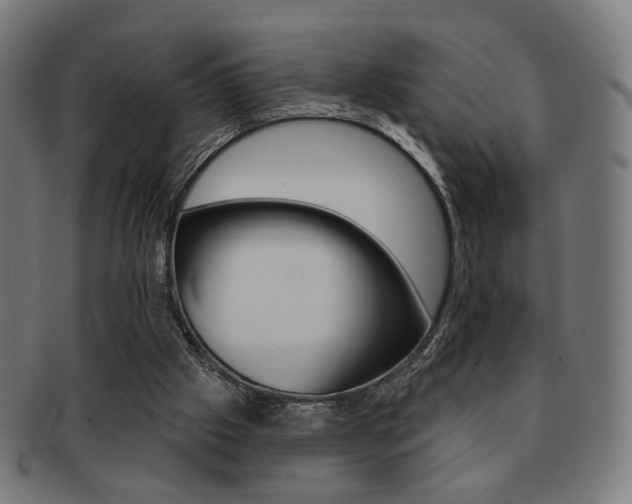 X0000091890057200709051052