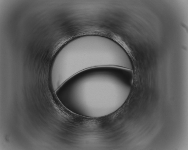 X0000091890058200709051052