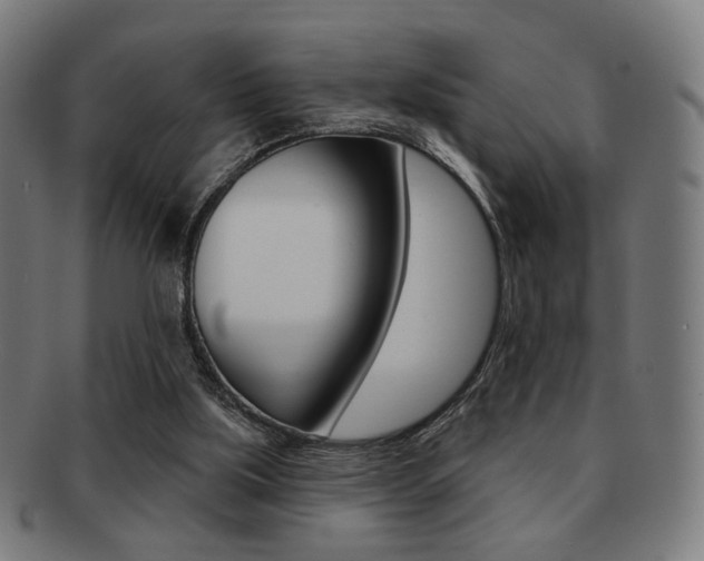 X0000091890059200709051052