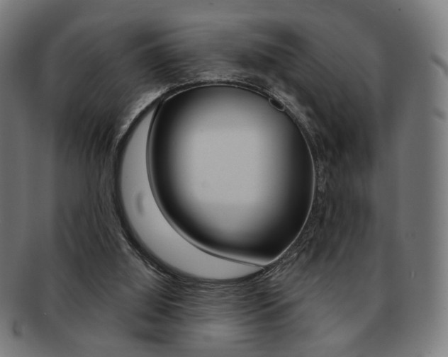 X0000091890060200709051052