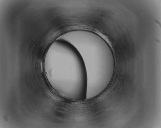 X0000091890061200709051052