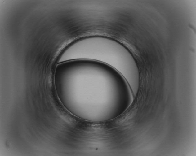 X0000091890064200709051052