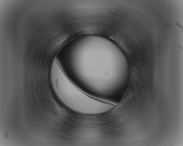 X0000091890066200709051052