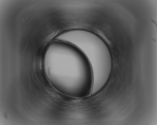 X0000091890068200709051052
