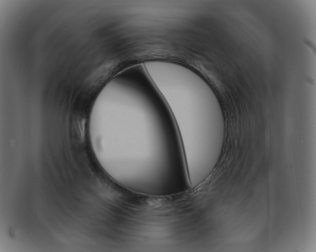X0000091890070200709051052