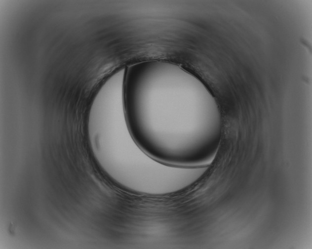 X0000091890072200709051052