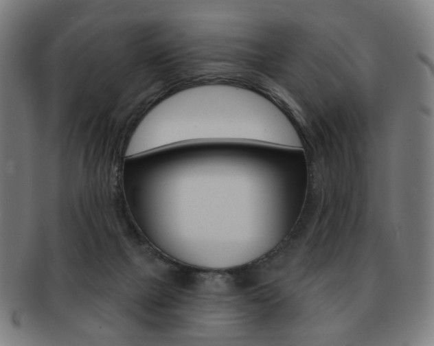 X0000091890073200709051052