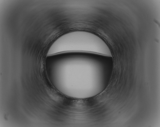 X0000091890074200709051052