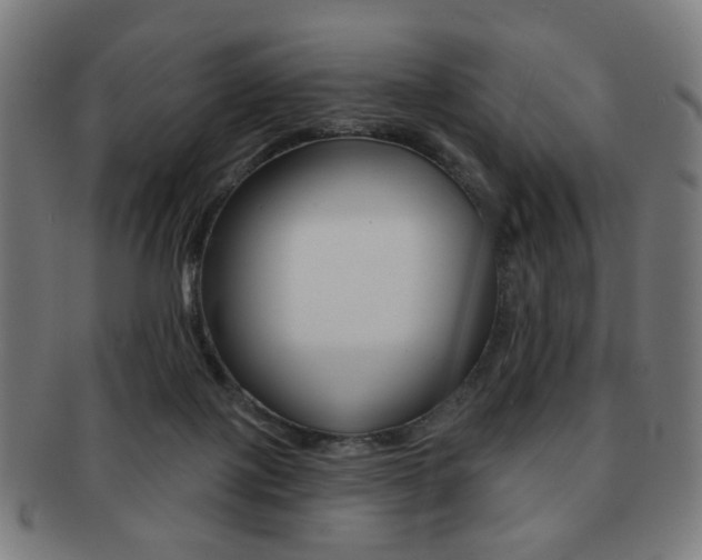 X0000091890075200709051052