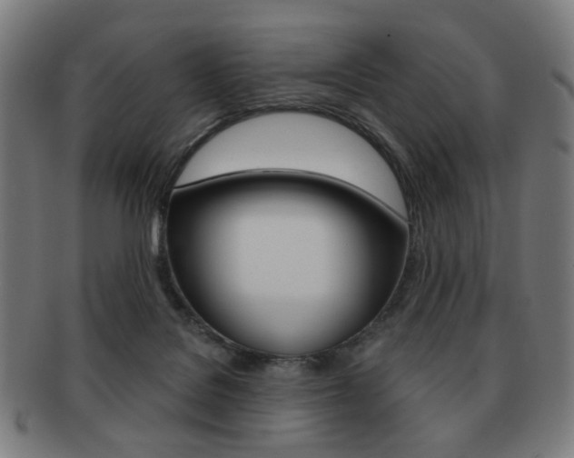 X0000091890076200709051052