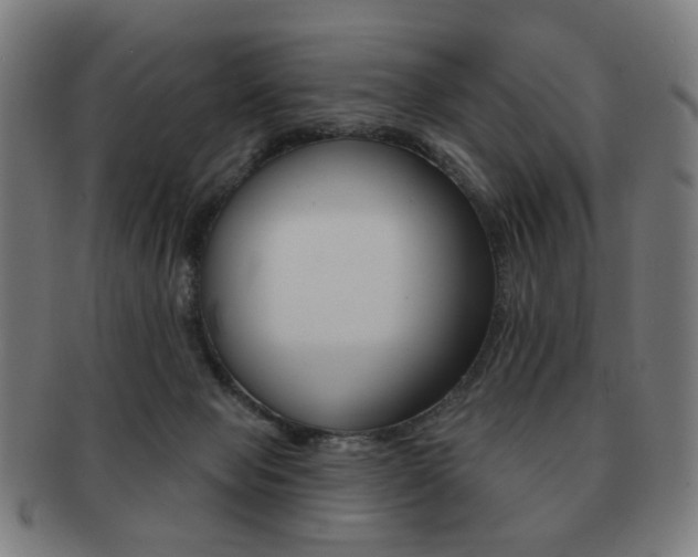 X0000091890077200709051052