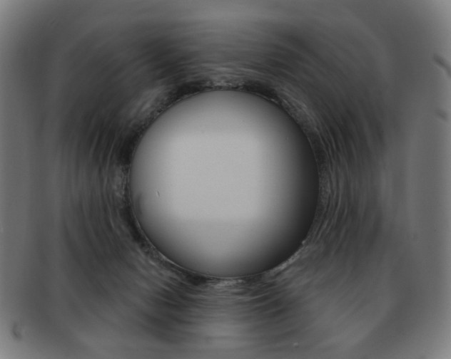 X0000091890078200709051052