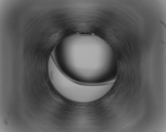 X0000091890080200709051052