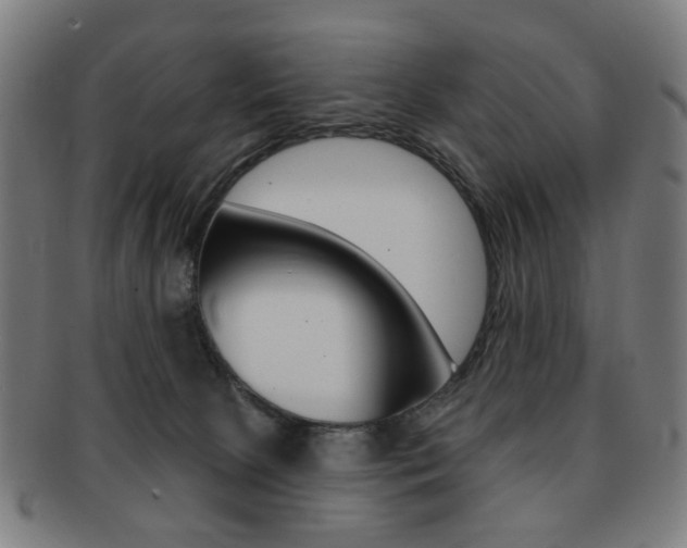 X0000091890081200709051052