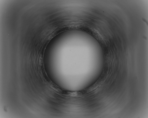X0000091890083200709051052