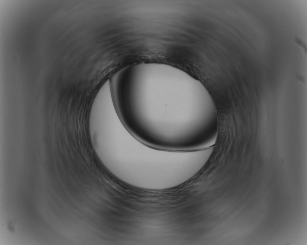 X0000091890084200709051052