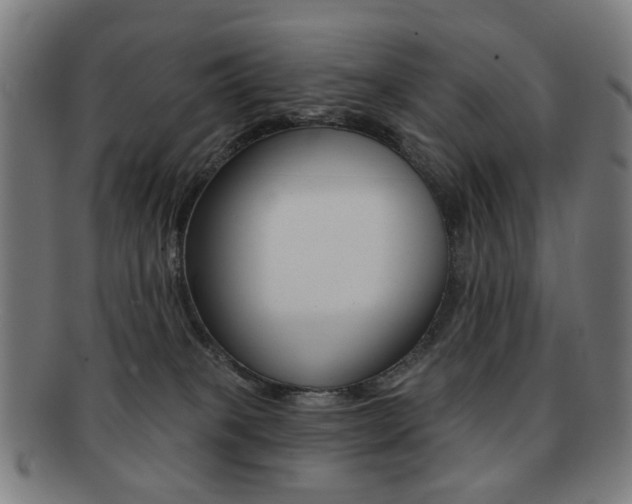 X0000091890085200709051052